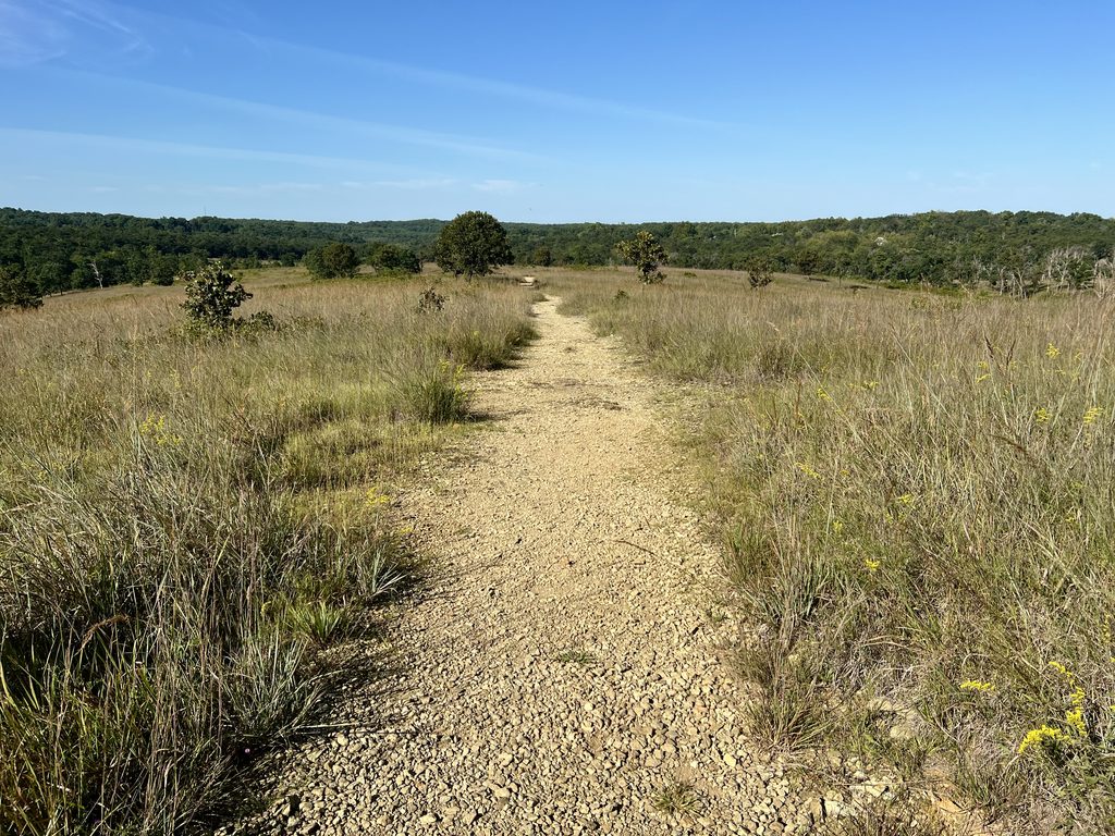 The Serpentine Trail at Soldiers Delight, Maryland.